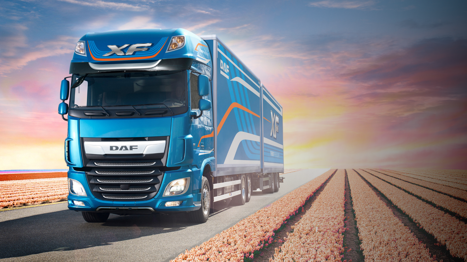 DAF-SUMMER-CARE